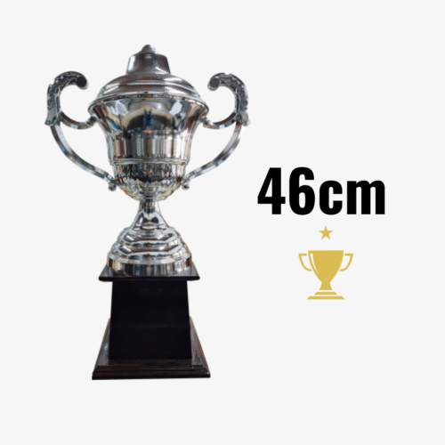 Trofeo Metálico Serie 200 CAJÓN - 46CM