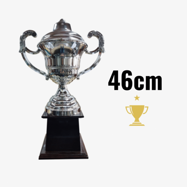 Trofeo Metálico Serie 200 CAJÓN - 74CM
