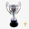 Trofeos Champions 21cm