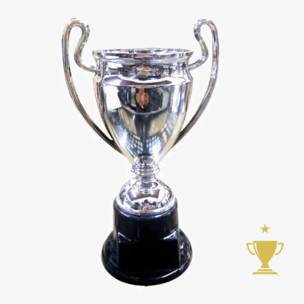 Trofeos Champions 21cm