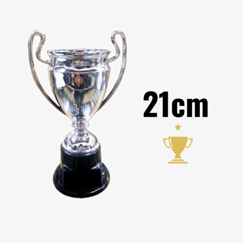 Trofeos Champions 21cm