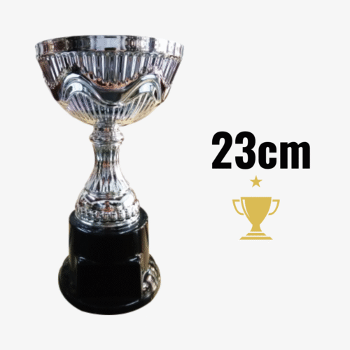 Trofeo Metálico Andina - 23cm