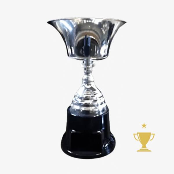 Trofeo Metálico 170 - 35cm