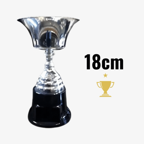 Trofeo Metálico 170 - 18cm