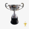 Trofeo Metálico con Asas 250 - 23cm