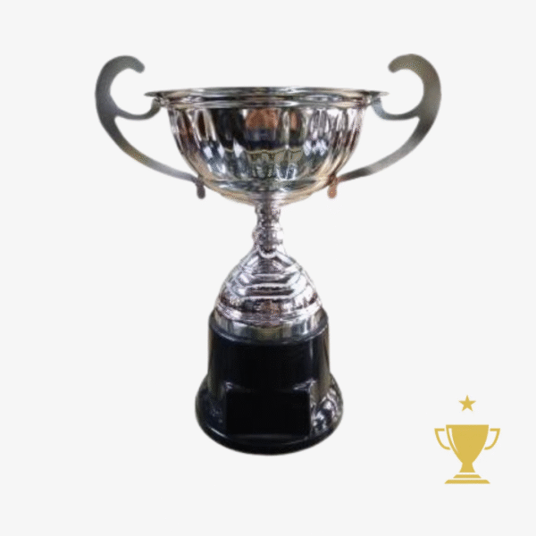 Trofeo Metálico con Asas 250 - 23cm