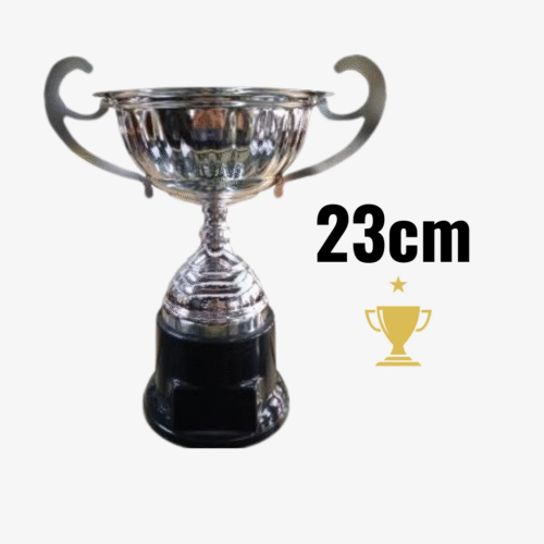 Trofeo Metálico con Asas 250 - 23cm