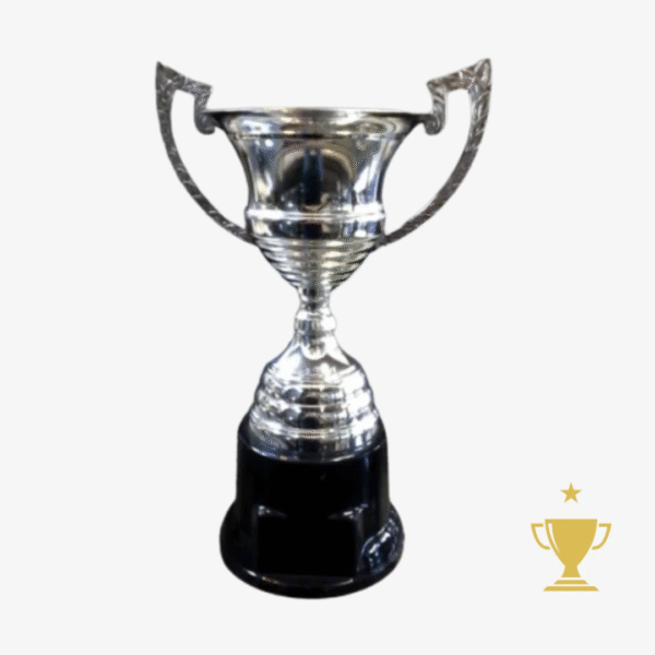 Trofeo Metálico Serie 210 - 26cm