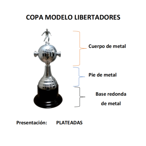 Copa Modelo Libertadores