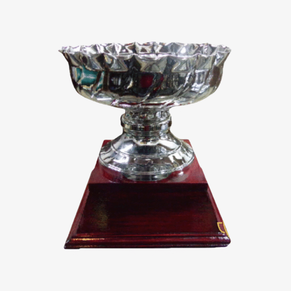 Trofeo Metálico 260/1 CAJÓN 38cm