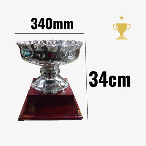 Trofeo Metálico 260/1 CAJÓN 34cm