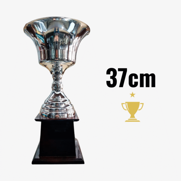 Trofeo Metálico Serie 170 CAJÓN -37cm