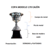 Trofeo Metálico Serie 170 CAJÓN -45cm