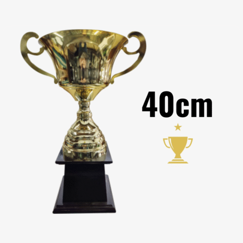 Trofeo Metálico Serie 170 Cajón con Asas - 40cm