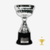 Trofeo Metálico Modelo 601 - 30cm