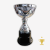 Trofeo Metálico Andina - 29cm