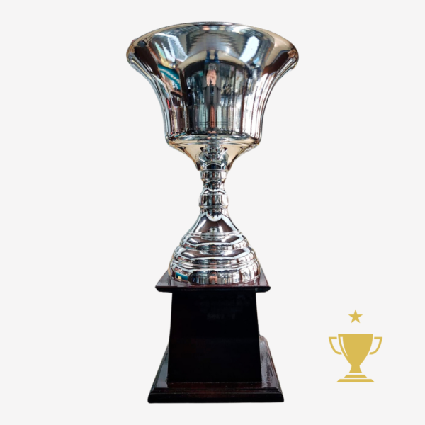 Trofeo Metálico Serie 170 CAJÓN