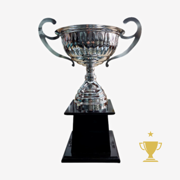 Trofeo Metálico Serie 250 CAJÓN