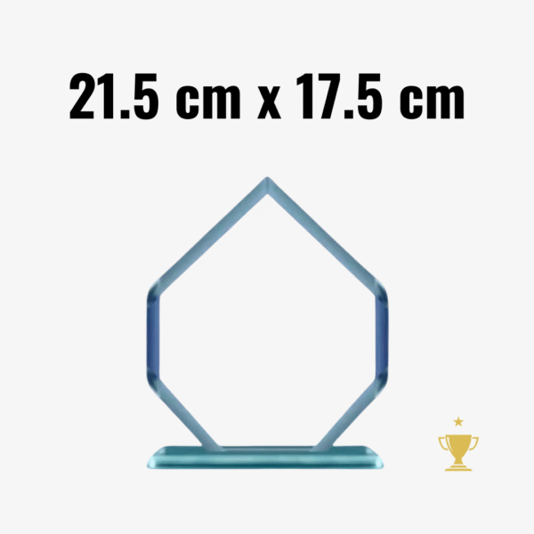 Placa de Vidrio Gota 21.5cm x 17.5cm con Caja