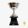 Copa Metálica 270 Cajón 39cm
