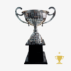 Trofeo Metálico Serie 250 CAJÓN - 40CM